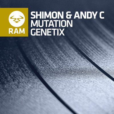 Mutation/Shimon & Andy C