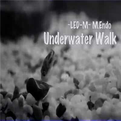 シングル/Underwater Walk/LED-M