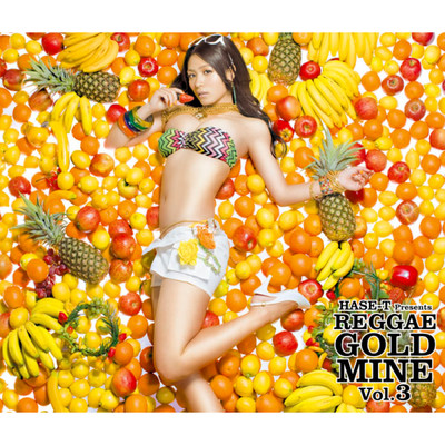 HASE-T presents REGGAE GOLD MINE Vol.3(24 Tracks Edition)/Various Artists