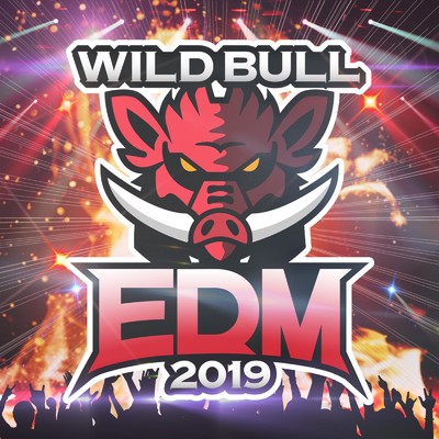 アルバム/Wild Bull EDM 2019/SME Project & #musicbank