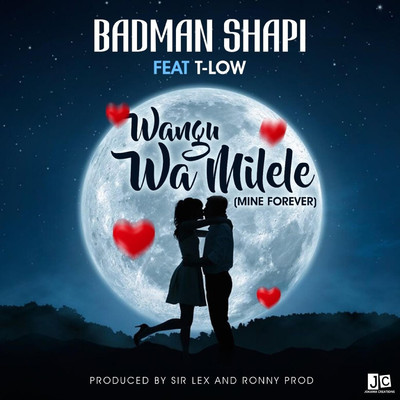 Wamilele (feat. T-Low)/Badman Shapi