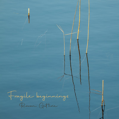 Fragile beginnings/Rowan Guthrie