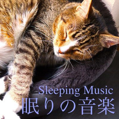 眠りの音楽/Dreamy Music