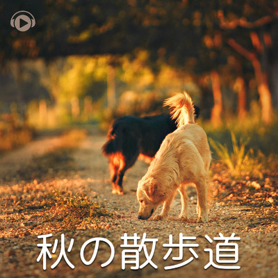 ヒダマリノシタ (feat. YakumO_YoshikI)/ALL BGM CHANNEL