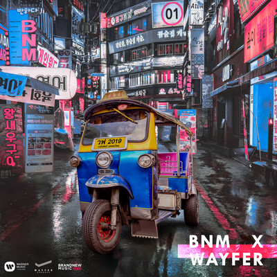 BNM X WAYFER/Various Artists