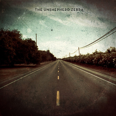 シングル/We're Coming/The Unshepherd Zebra