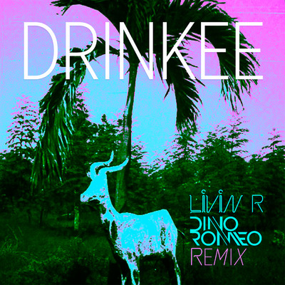 Drinkee (Livin R & Dino Romeo Remix)/SOFI TUKKER