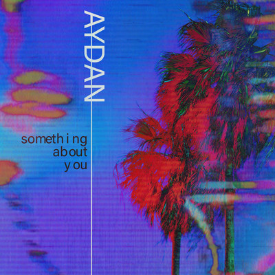 シングル/Something About You/AYDAN