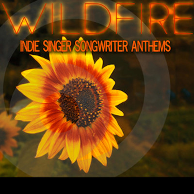 Wildfire: Indie Singer Songwriter Anthems/Hannah Miller