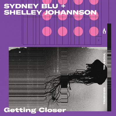 Drive Me Crazy (Extended Mix)/Sydney Blu & Shelley Johannson