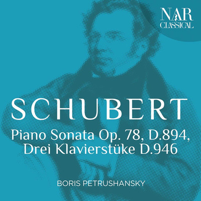 アルバム/Franz Schubert: Piano Sonata Op. 78, D.894, Drei Klavierstuke D.946/Boris Petrushansky