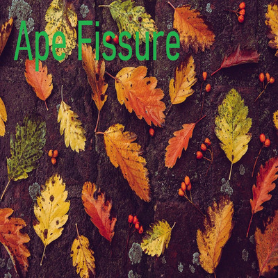 アルバム/Ape Fissure/Agnosia fact