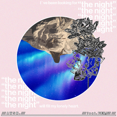 ”the night” (feat. TOEM & BIT)/AWSM.