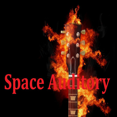 アルバム/Space Auditory/Agnosia fact