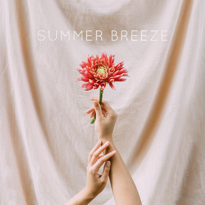 シングル/SUMMER BREEZE/どんずりばー