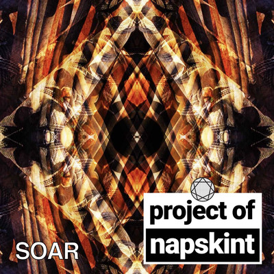 Days Go By/project of napskint