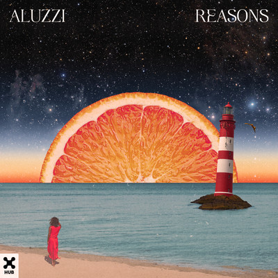 Reasons/Aluzzi