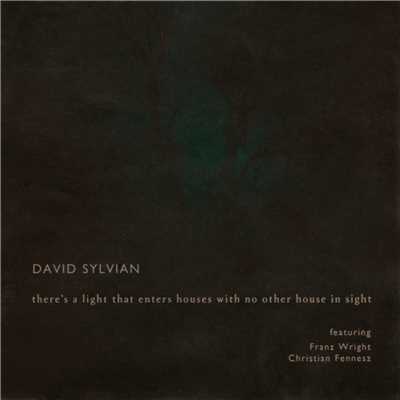 There's A Light That Enters Houses With No Other House In Sight (featuring Franz Wright, Christian Fennesz)/デヴィッド・シルヴィアン