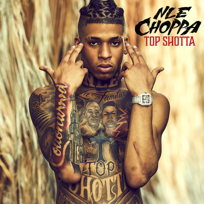Top Shotta Flow/NLE Choppa