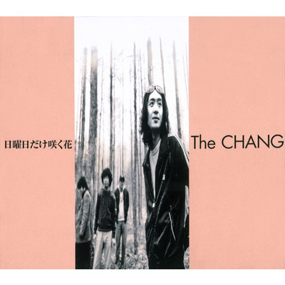 歩道橋/The CHANG