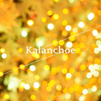 シングル/Kalanchoe/サグラバ