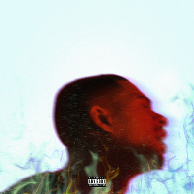 Platinum Fire (Explicit) (Deluxe)/Arin Ray