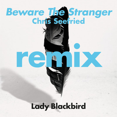 Beware The Stranger (Chris Seefried's Ambient Excursion) [feat. Trombone Shorty]/Lady Blackbird
