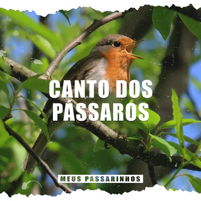 Canto dos Passaros (4)/Meus Passarinhos
