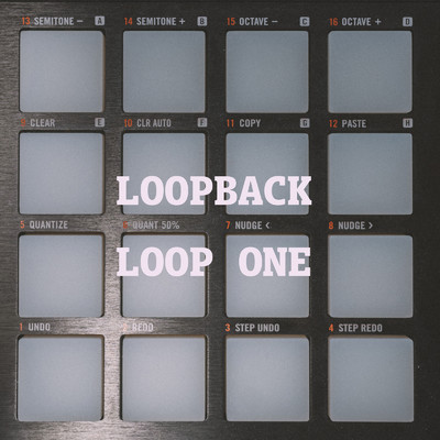 LOOP ONE/LOOPBACK