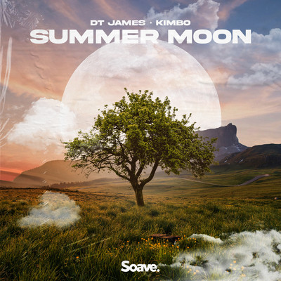 Summer Moon/DT James & Kimbo