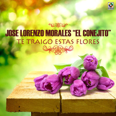 Te Traigo Estas Flores/Jose Lorenzo Morales