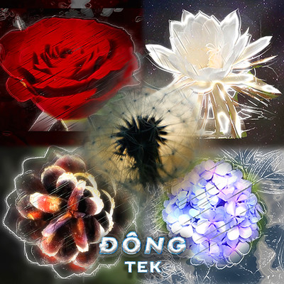 Dong/TEK