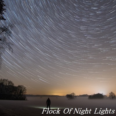 Flock Of Night Lights/TandP