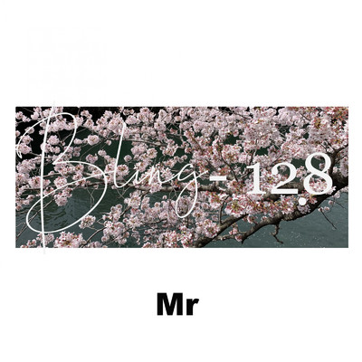 アルバム/Bling 128/Mr