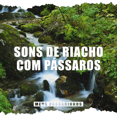 アルバム/Sons de Riacho com Passaros/Meus Passarinhos