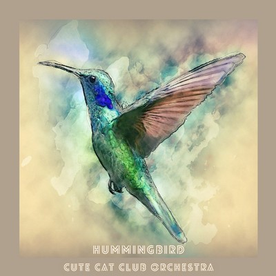 アルバム/HUMMINGBIRD/Cute Cat Club Orchestra