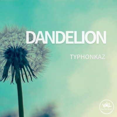 アルバム/Dandelion/typhonKAZ