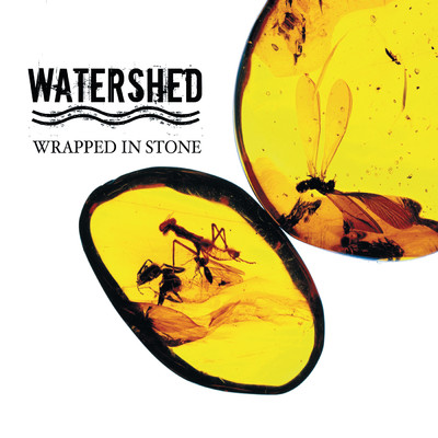 Wrapped In Stone/ウォーターシェッド