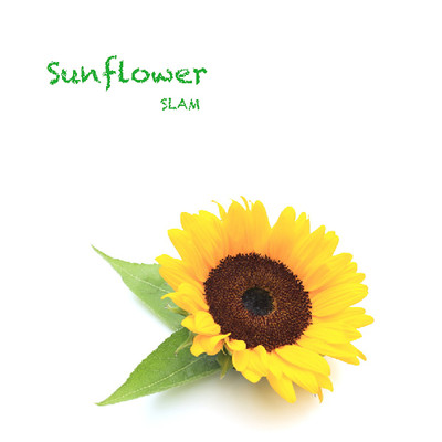 シングル/Sunflower/SLAM