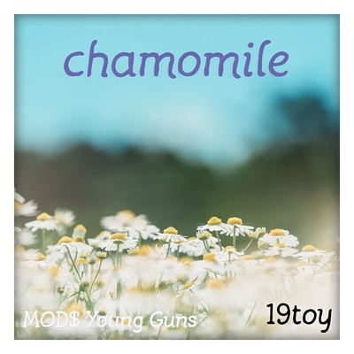 シングル/chamomile/19toy