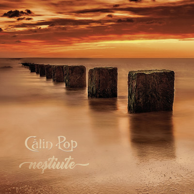 シングル/Nestiute/Calin Pop