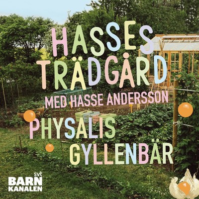 Physalis gyllenbar/Hasse Andersson