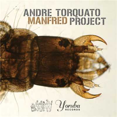 Savannah (Feat. Ale Reis)/Andre Torquato Project