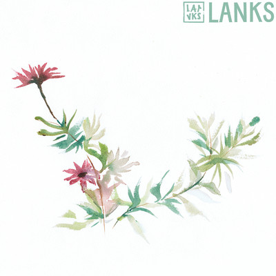 アルバム/Viet Rose/LANKS