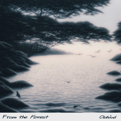 シングル/From the Forest/Oldhand