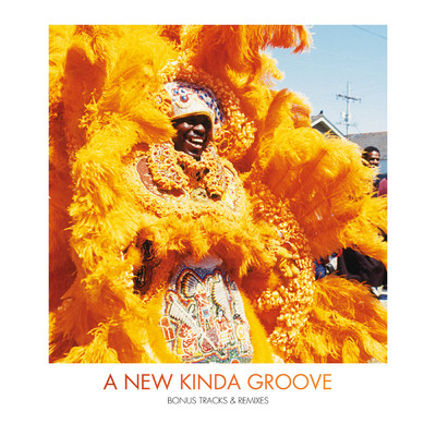 アルバム/A New Kinda Groove - Bonus Tracks and Remixes/ワイルド・マグノリアス