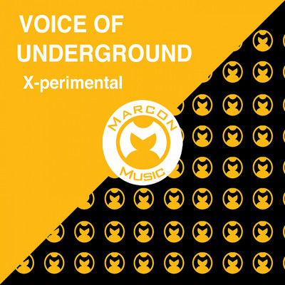 Love Won't Let You Down (W. A. B. Mix)/Voice Of Undergroundo