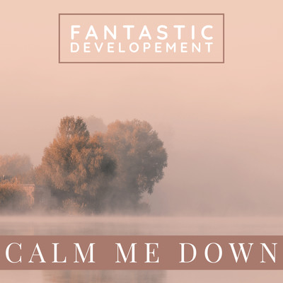 アルバム/Calm Me Down/Fantastic Developement