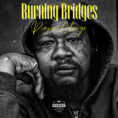 アルバム/Burning Bridges/Pimpin Change