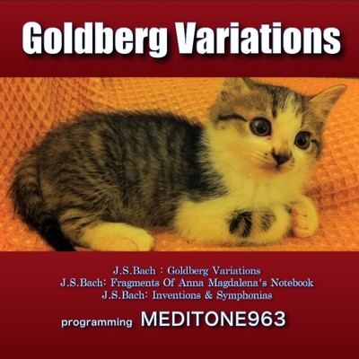 アルバム/Goldberg Variations/MEDITONE963